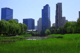 城市绿地与高楼景观