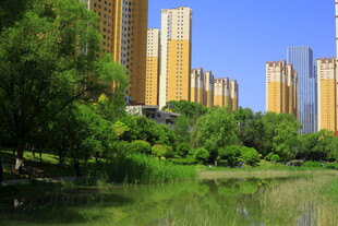 湖畔高楼与葱郁绿植景观