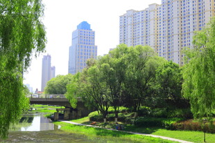 城市河畔绿意盎然景观