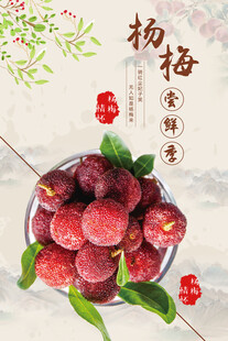 杨梅海报