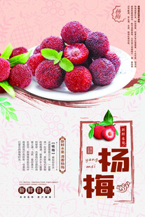 新鲜诱人的美味杨梅