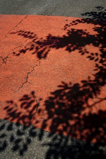 地面上的树影斑驳