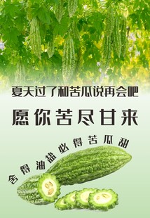 苦瓜