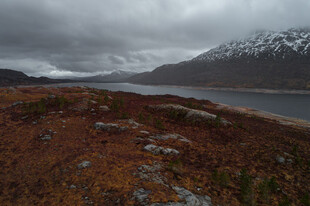 阴天下的湖畔荒野景色