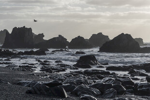 海岸礁石与海浪景观