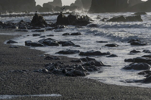 海边黑沙滩与海浪礁石