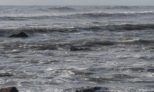 海浪翻涌的壮阔海面