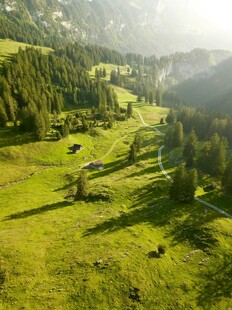 山间绿野牧场景色