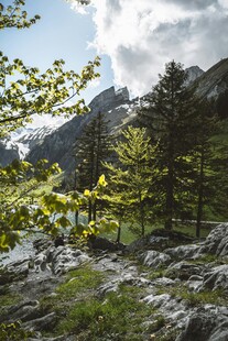 山间春景绿意盎然的自然