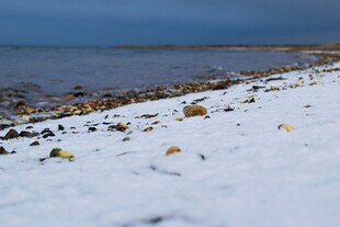 雪覆海滩的冬日海滨景致