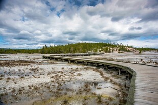 湿地木栈道风景