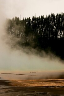 林间晨雾弥漫的自然美景