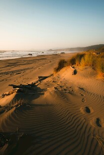 黄昏下的沙滩与沙丘景观