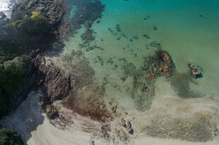 海底潜水景观 多彩鱼群相伴