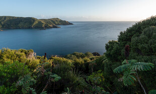 海岸绿植环绕的美丽风光