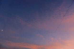梦幻粉蓝渐变天空美景