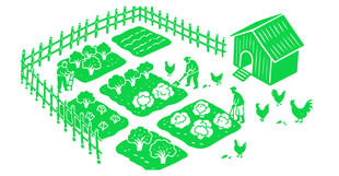 矢量插画绿色菜园小屋插画场景