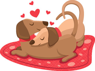 依偎的萌犬