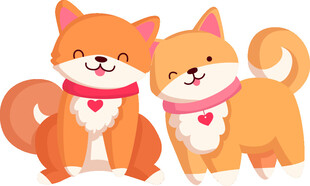 可爱双犬