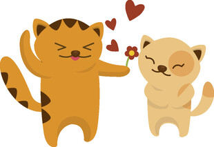 甜蜜猫咪情侣互动瞬间