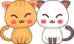 可爱双猫