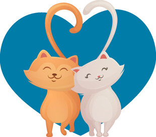 爱心旁的亲昵猫咪