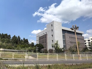 现代建筑与户外景致