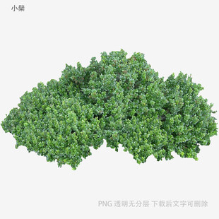 绿色植物模型