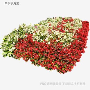 多彩花卉组成的美丽图案