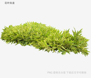 翠绿仿真草皮