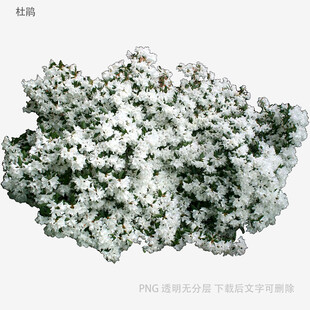 白色簇状矿石样本