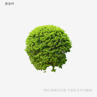 绿色球形植物创意形象展示