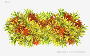 多彩植物装饰图案