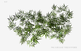 翠绿竹叶植物素材