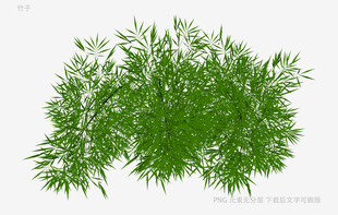 翠绿竹叶植物素材
