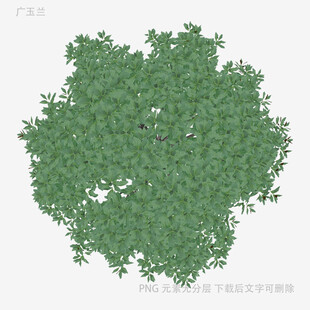 俯视视角绿色树木模型