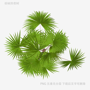 植物