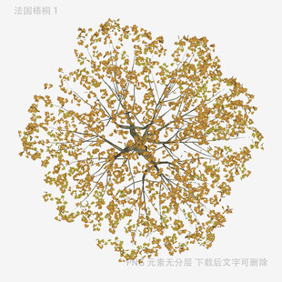 金色繁茂树木图案设计
