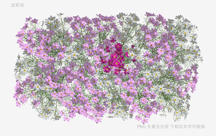 蛋白质分子结构示意图