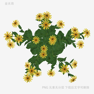 黄色小花绿叶植物图案