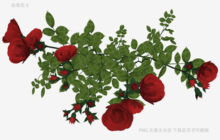 红色玫瑰植物3D模型