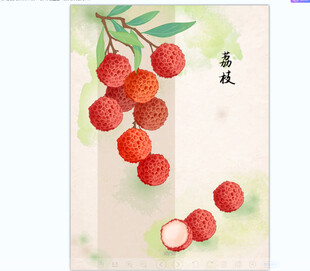 夏天荔枝手绘质感水果复古插画