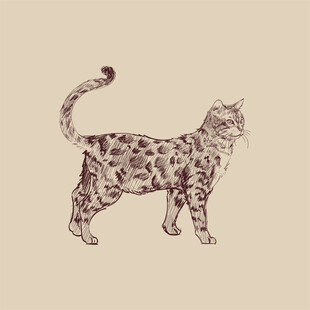 手绘花纹猫咪图案