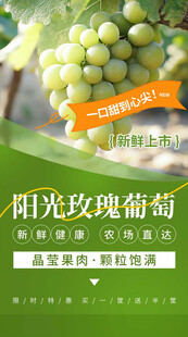 清新夏季水果阳光玫瑰葡萄海报