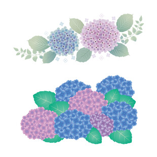 矢量绣球花