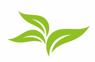 绿叶