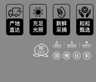 农产品供应链优势展示食品小图标
