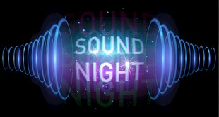 动感声波之夜