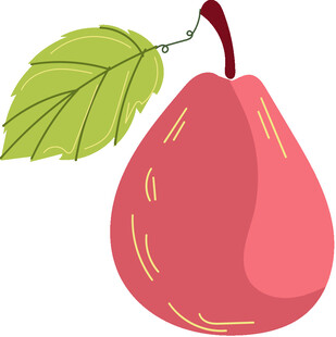 粉色梨子插画