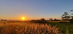 夕阳下的广阔田野风光